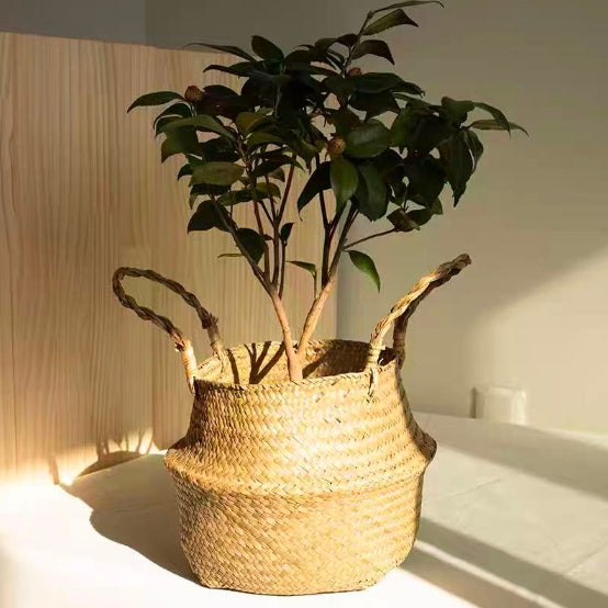 Woven Time Bamboo Basket